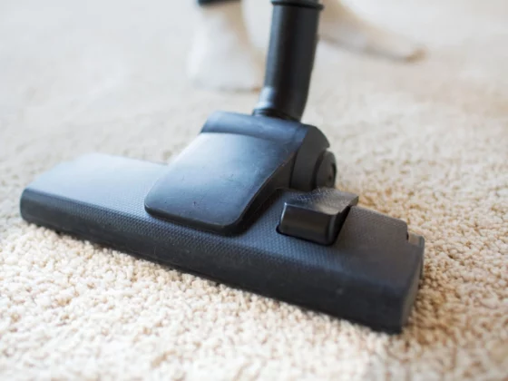 Should You Get Steam Carpet Cleaning When You Move Out?