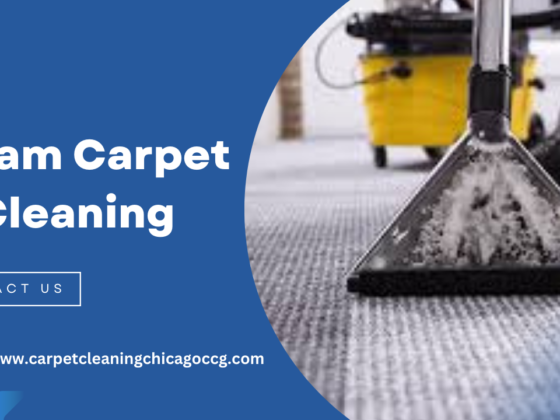 A Guide On Steam Carpet Cleaning By Services In 5 Easy Steps
