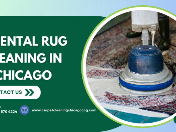 How Professionals Clean Oriental Rugs in Chicago