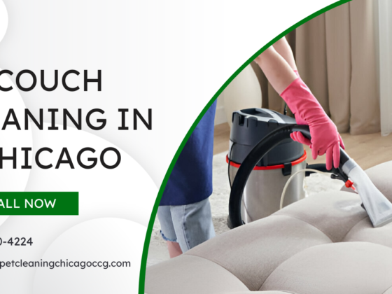 A Guide to Couch Cleaning in Chicago: What Professionals Use