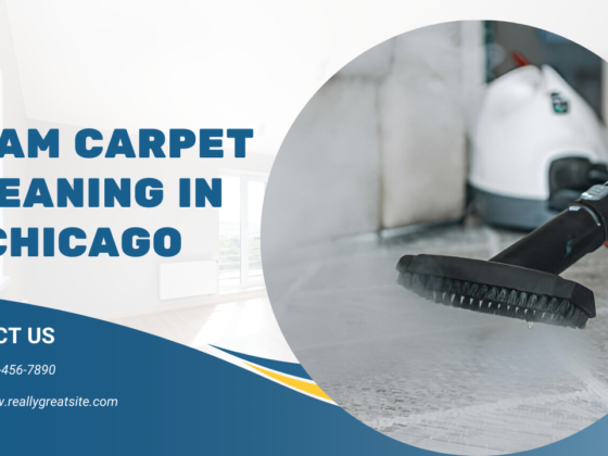 Top 5  Steam Carpet Cleaning In Chicago Benefits 2024