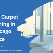Steam Carpet Cleaning in Chicago