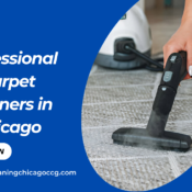 Professional Carpet Cleaners in Chicago