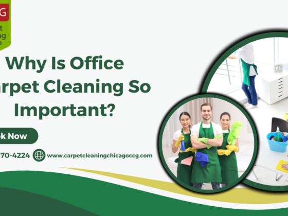 Why Is Office Carpet Cleaning So Important?