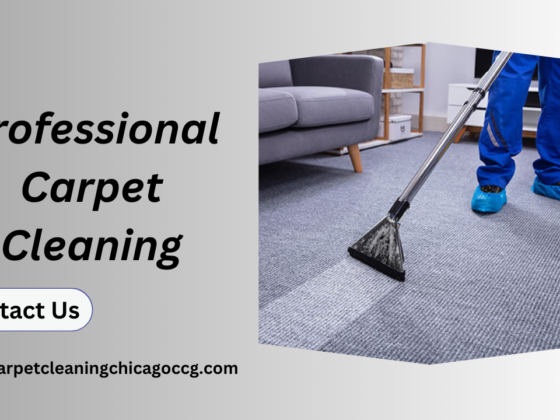 Why Professional Carpet Cleaning is a Must for Your Home