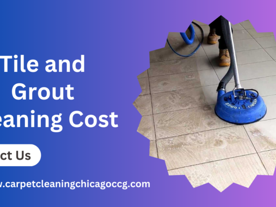 Tile and Grout Cleaning Costs: Professional vs. DIY