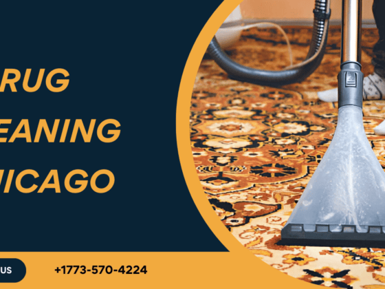 Rug Cleaning Seasonally Chicago Tips For Homes Which Have Pets And Kids