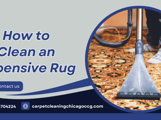 How to Clean an Expensive Rug Without Ruining It