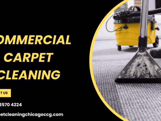 Reasons to Choose Commercial Carpet Cleaning Experts Over DIY