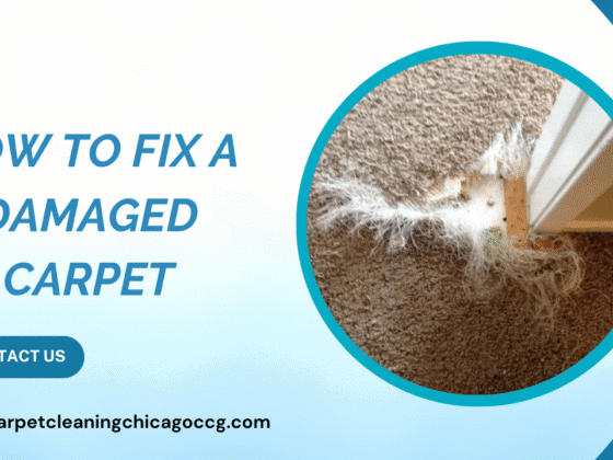 How to Fix a Damaged Carpet: Simple Steps to Restore Your Flooring