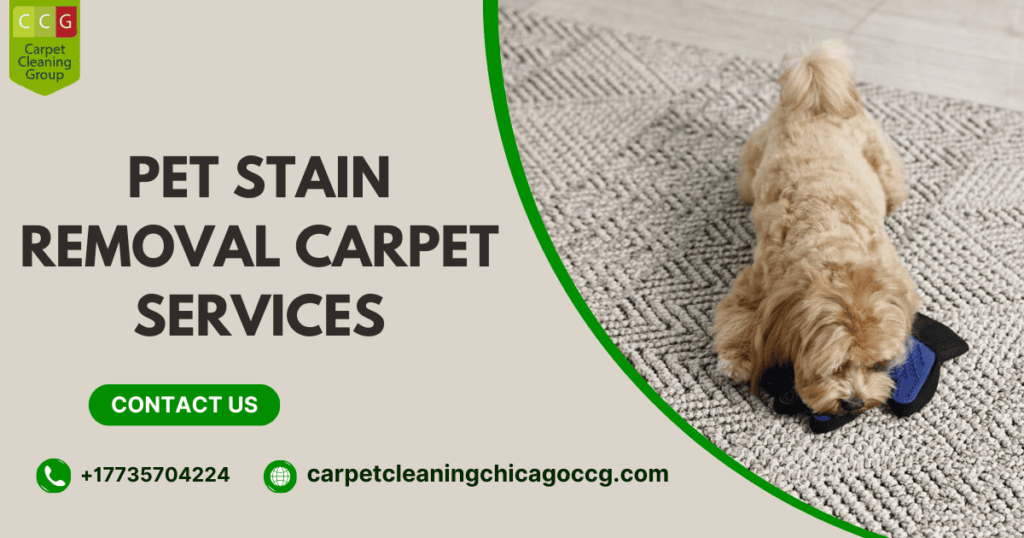 Pet Stain Removal Carpet