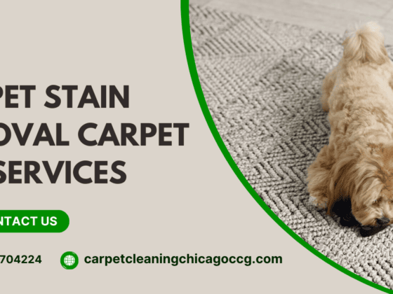 Why Pet Stain Removal Carpet Services Are Worth The Cost
