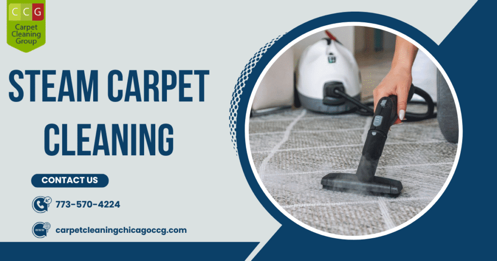 Steam Carpet Cleaning