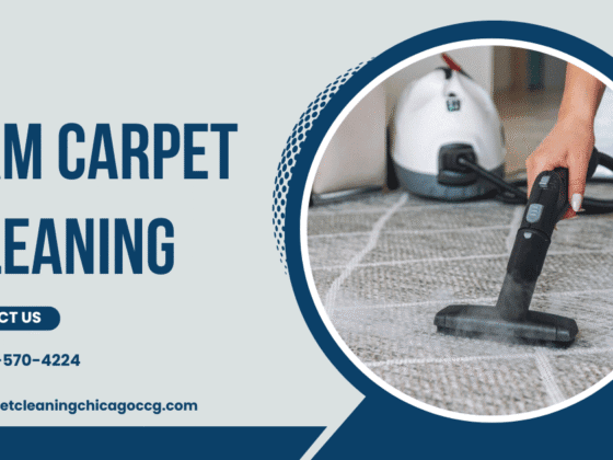 How Steam Carpet Cleaning Saves You From Early Replacements