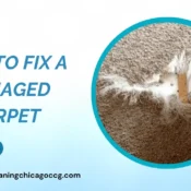 Damaged Carpet