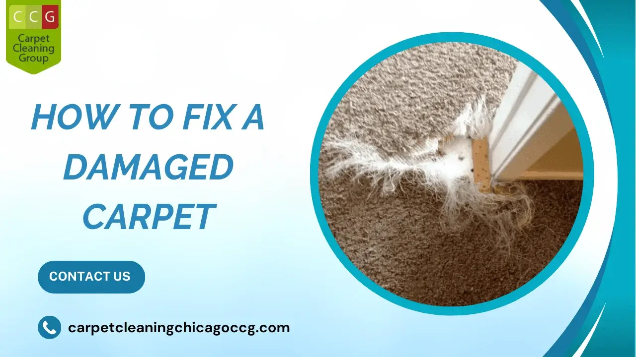 How to Fix a Damaged Carpet Simple Steps to Restore Your Flooring