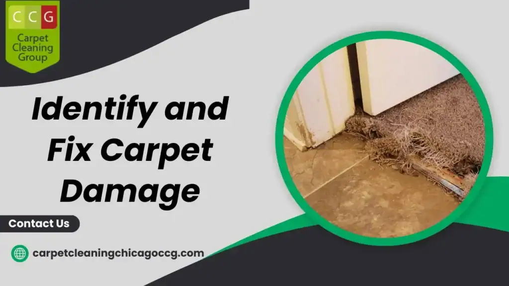 Carpet Damage