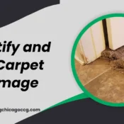 Carpet Damage