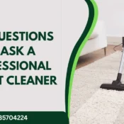 Professional Carpet Cleaner