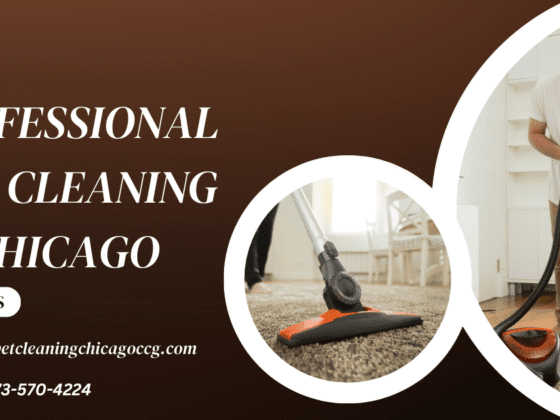 Is Your Rug Ruined Without Proper Rug Cleaning in Chicago’s Climate?