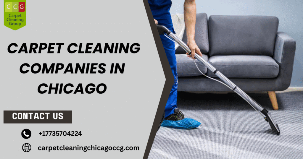 Carpet Cleaning Companies in Chicago