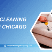 Couch Cleaning Service Chicago