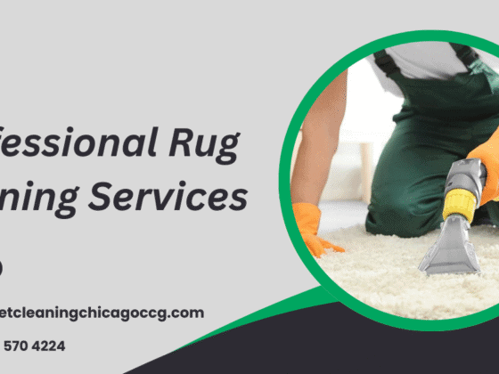Professional Rug Cleaning Services That Protect Delicate Fabrics