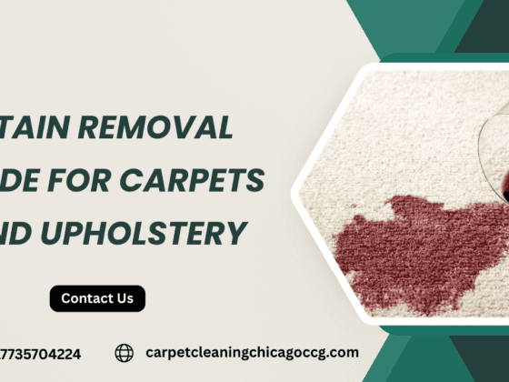 A Practical Stain Removal Guide for Carpets and Upholstery