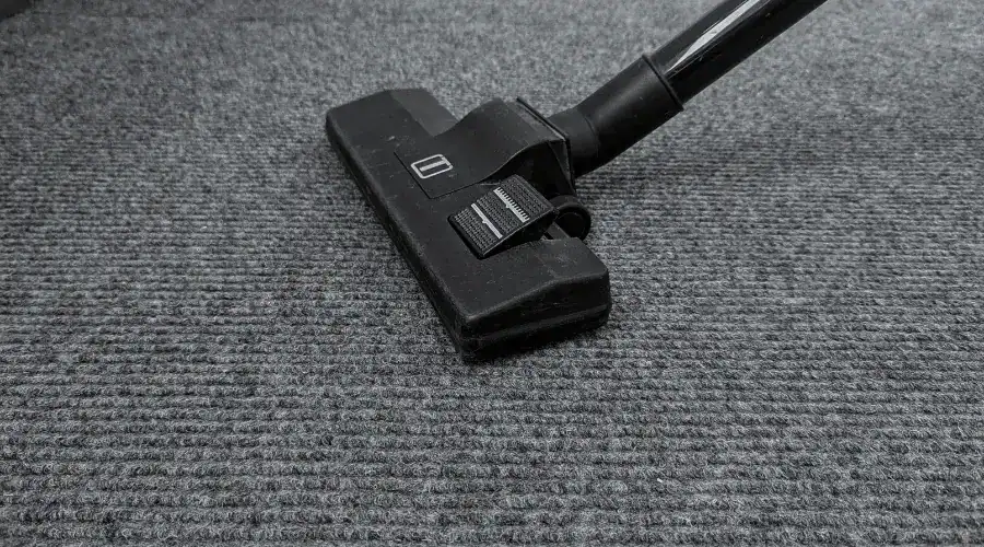 Steam cleaning wand deep cleaning beige carpet showing visible before and after results in Chicago residence