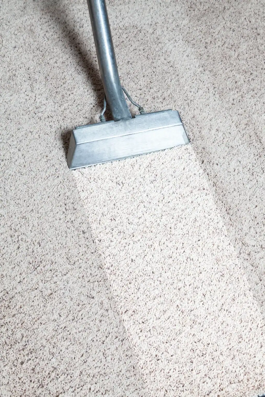 Professional vacuum cleaner removing dirt from gray textured carpet in Chicago home