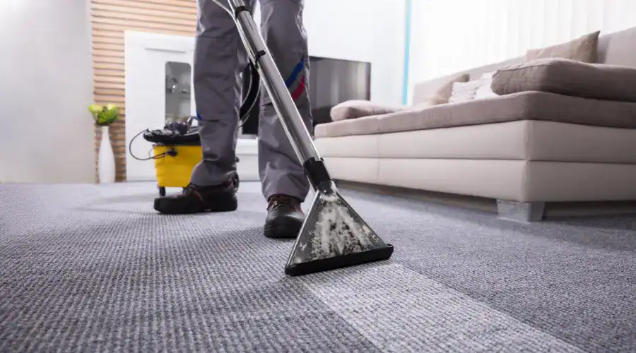 Professional deep carpet cleaning service using eco-friendly methods in Chicago