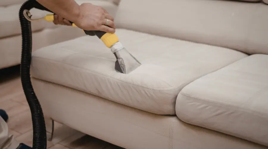 Deep cleaning a beige sofa cushion with a professional upholstery extraction tool