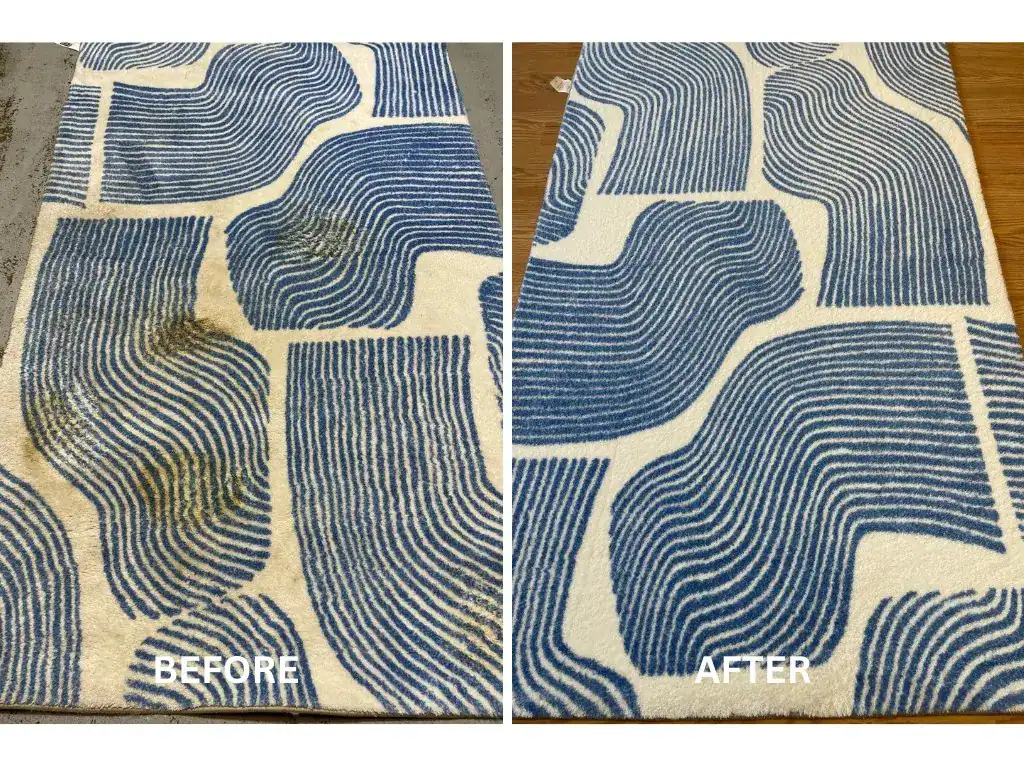 Pet stain removal on wool area rug - before and after professional treatment