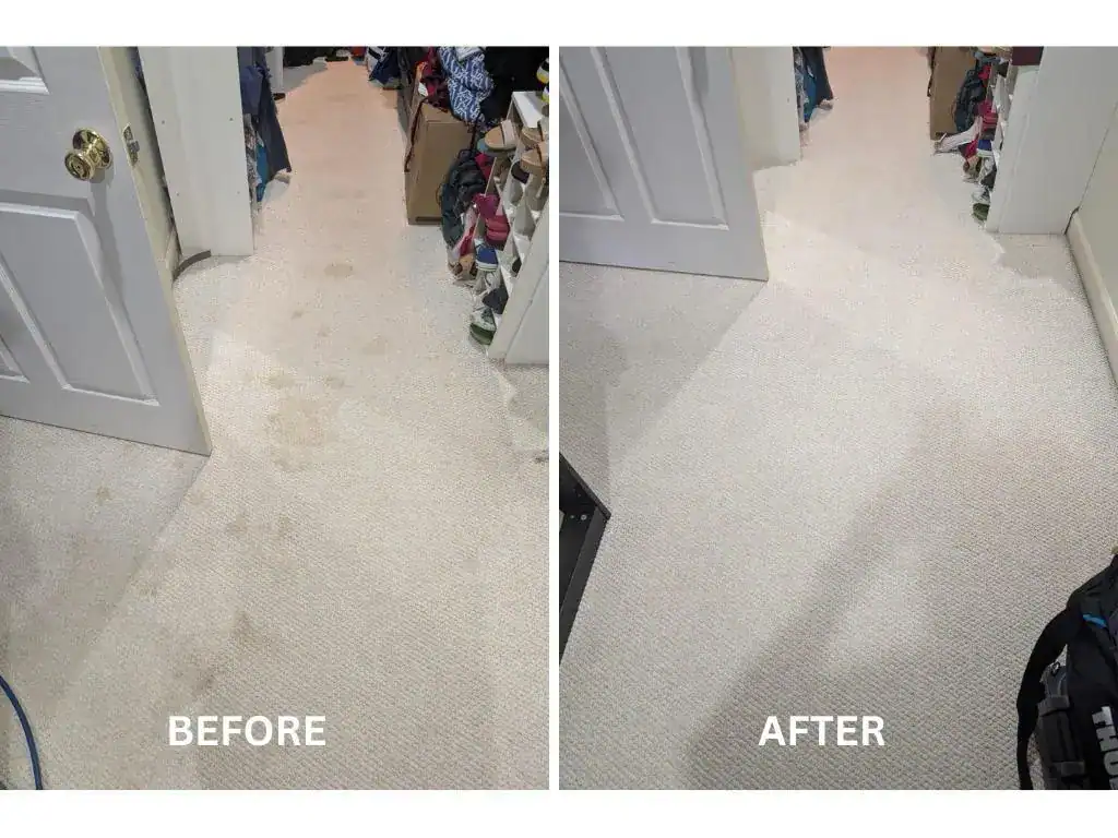 Before and after water damaged carpet cleaning by Carpet Cleaning Group, serving Albany Park, Chicago