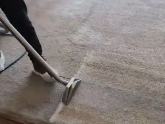 water damage carpet restoration chicago