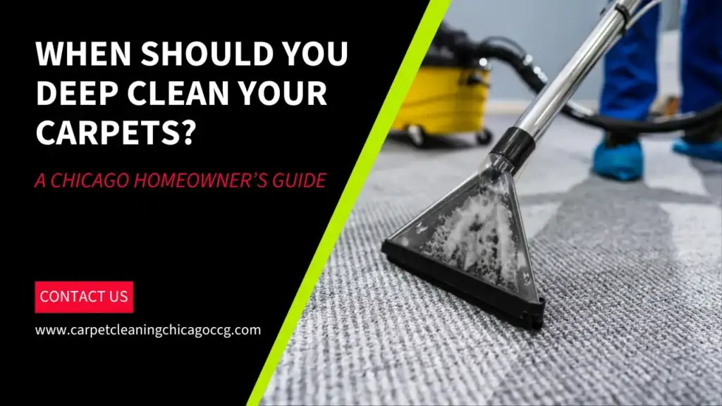 Professional deep cleaning a carpet during spring cleaning in Chicago.
