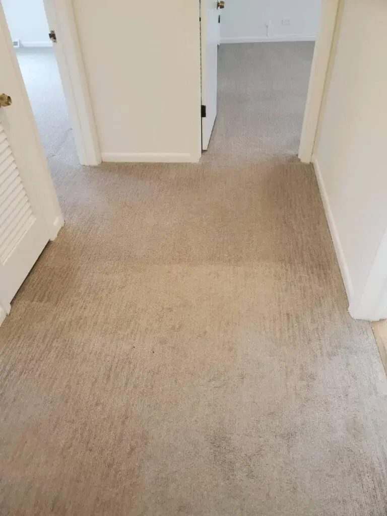 Freshly cleaned beige hallway carpet in a Chicago home, looking spotless and uniform after service by Carpet Cleaning Group