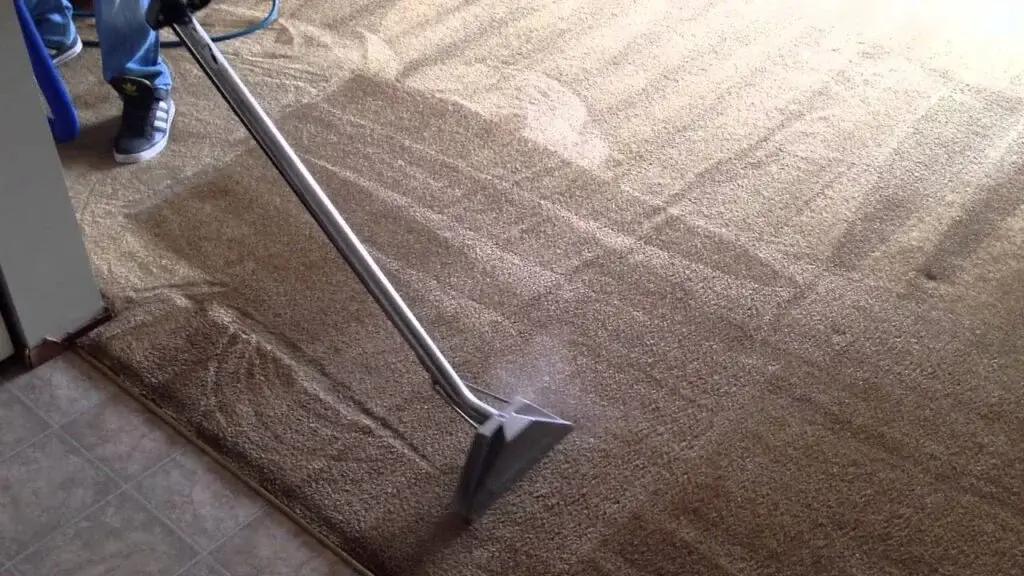 Professional hot water extraction steam cleaning being performed on a residential carpet in Chicago by Carpet Cleaning Group