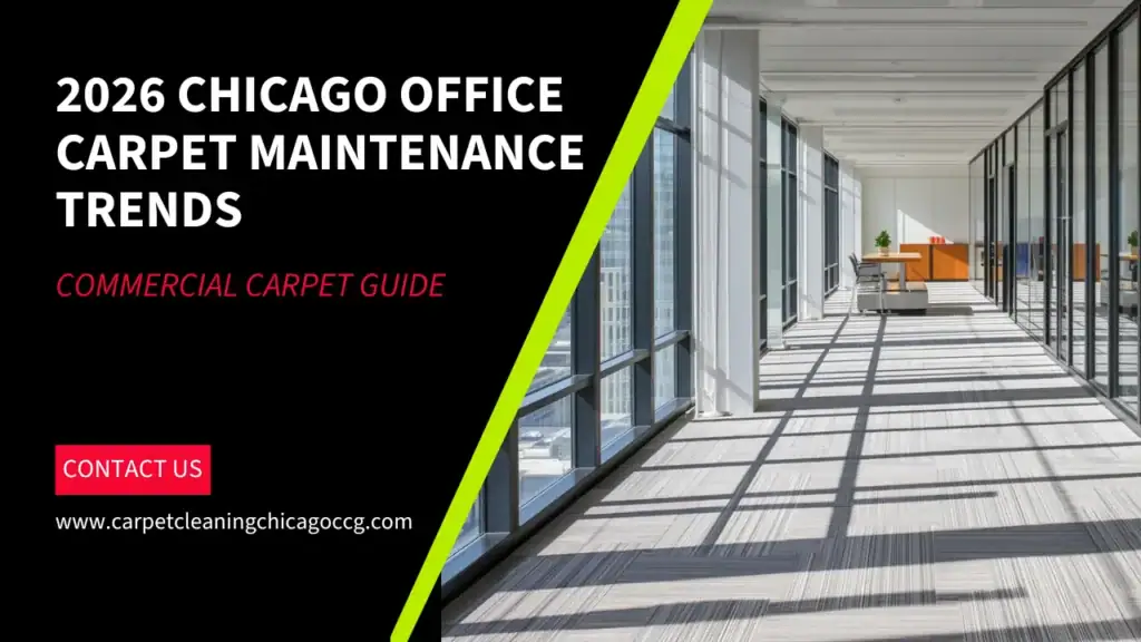 Professional Chicago office carpet maintenance trends for modern commercial workspaces.