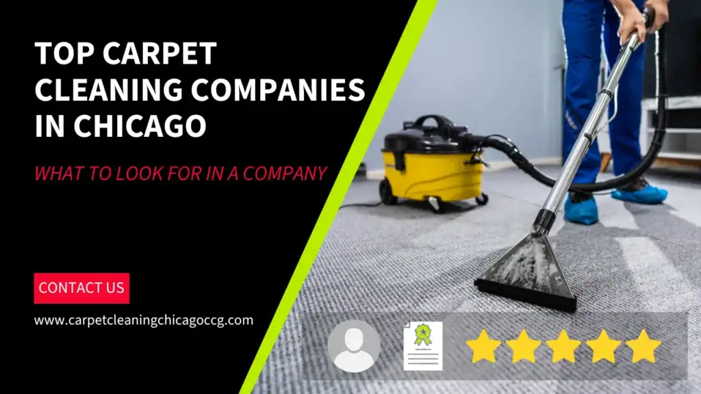 Comparing the top carpet cleaning companies in Chicago for residential and commercial needs.