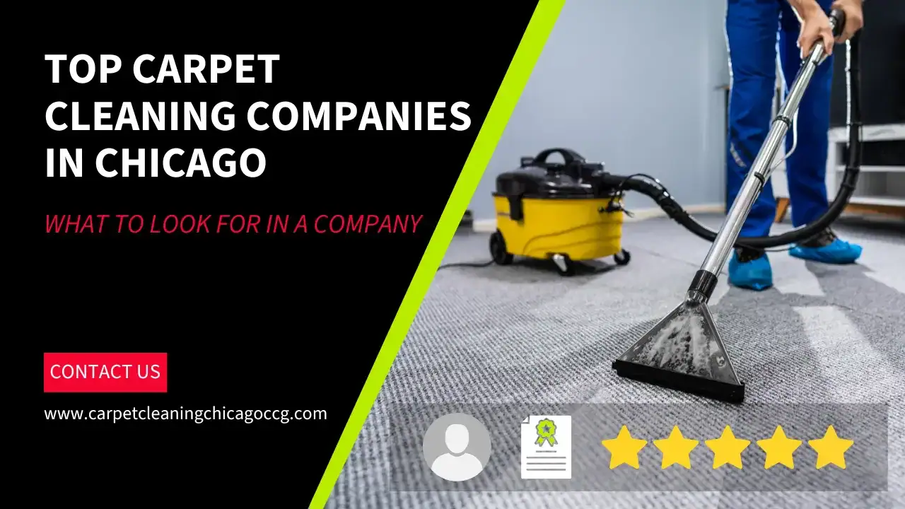 What Separates the Top Carpet Cleaning Companies in Chicago from the Rest?