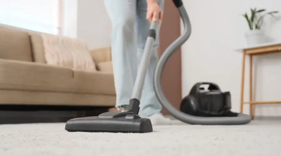 can you clean your own carpet