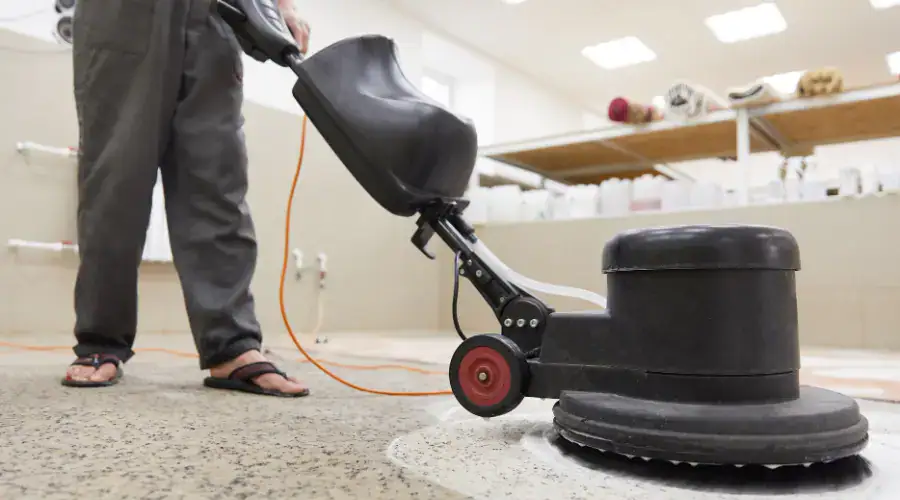 Is Professional Carpet Cleaning Worth It in 2026?